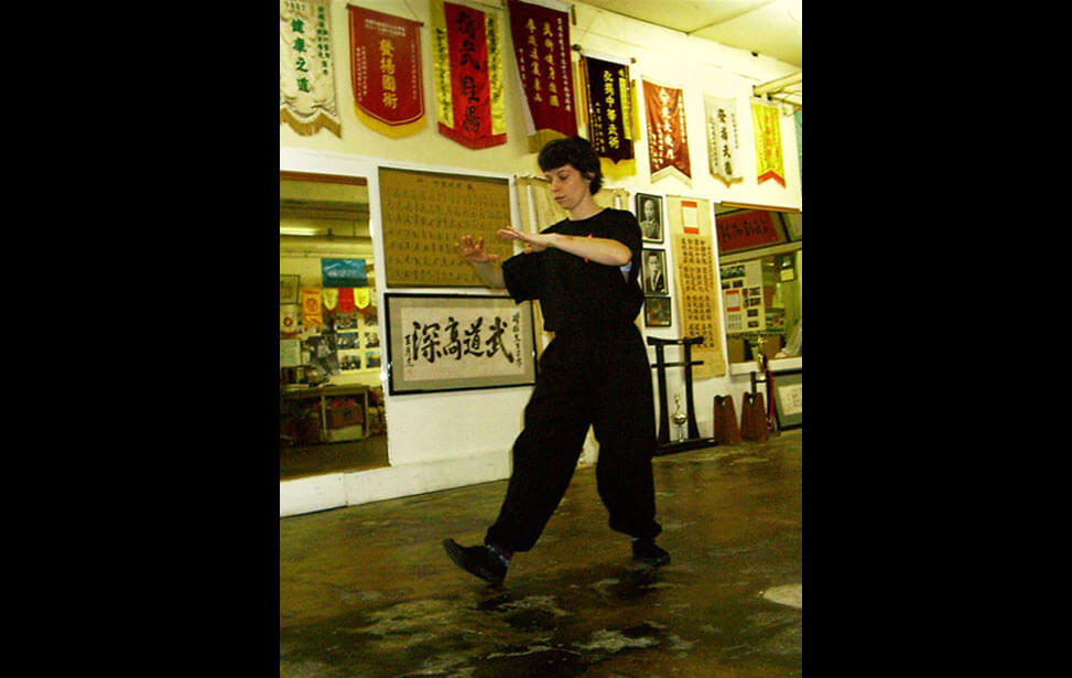 Saline Kuanping yang tai chi (U.S.A.) 2003